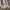 https://res.cloudinary.com/billionhands/image/upload/v1767371673/items/p1cjhevu3g0vjy8vw7sb.avif-0cover