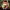 https://res.cloudinary.com/billionhands/image/upload/v1767374869/items/x7uzfxtxpv0iams9axvi.jpg-3cover