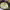 https://res.cloudinary.com/billionhands/image/upload/v1767374886/items/qfqpyghf1flpk816dwv2.jpg-2cover