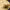 https://res.cloudinary.com/billionhands/image/upload/v1767375027/items/plux1yjtpiypbujsizgq.jpg-1cover