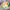 https://res.cloudinary.com/billionhands/image/upload/v1767375030/items/lxok3vwmvcolqwviimo9.jpg-3cover