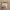 https://res.cloudinary.com/billionhands/image/upload/v1767375591/items/isr1cvjsdjvxurwehwc0.jpg-2cover