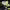 https://res.cloudinary.com/billionhands/image/upload/v1767376064/items/ggxrb99zuiyk5nqh9ilh.jpg-1cover