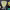 https://res.cloudinary.com/billionhands/image/upload/v1767376082/items/jxsmidiuh35qzhyvon5z.jpg-1cover