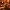 https://res.cloudinary.com/billionhands/image/upload/v1767378224/items/cr3vdrmwdywoykoy3gdn.jpg-0cover