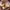 https://res.cloudinary.com/billionhands/image/upload/v1767378773/items/hrqbi4mgsitupkigky41.webp-0cover