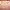 https://res.cloudinary.com/billionhands/image/upload/v1767378801/items/qltigg1i3n5mv8fj0q8t.jpg-0cover