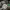 https://res.cloudinary.com/billionhands/image/upload/v1767379536/items/xaprzfxxmceftww0dlz6.jpg-1cover