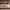 https://res.cloudinary.com/billionhands/image/upload/v1767380802/items/v3szgpnz8fqqtbqnifaf.jpg-0cover