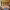 https://res.cloudinary.com/billionhands/image/upload/v1767380867/items/it3gmfy9pd9jfjh26yhc.jpg-2cover
