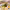 https://res.cloudinary.com/billionhands/image/upload/v1767381184/items/fis3k7fagbtkst9wvaxb.jpg-1cover