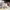 https://res.cloudinary.com/billionhands/image/upload/v1767425441/items/xchgsuoadd48aiqnvs8t.jpg-1cover