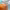 https://res.cloudinary.com/billionhands/image/upload/v1767425473/items/r1ajfaj4fzdwtnzxqqyf.jpg-2cover