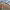 https://res.cloudinary.com/billionhands/image/upload/v1767433710/items/xrhyemq2jmnra4cixylb.jpg-1cover