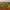 https://res.cloudinary.com/billionhands/image/upload/v1767511688/items/hykd9iwobycsfhilsw8j.jpg-0cover