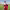 https://res.cloudinary.com/billionhands/image/upload/v1767598290/items/vyobrjpk7ob11zv0pcgy.webp-3cover