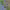 https://res.cloudinary.com/billionhands/image/upload/v1767598319/items/pphewptgdhamwk7gmp2x.webp-0cover