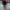 https://res.cloudinary.com/billionhands/image/upload/v1767613868/items/rmu2txada4dbuzigicxn.jpg-1cover
