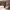 https://res.cloudinary.com/billionhands/image/upload/v1767623713/items/ms6ow6lyrzlabkavfhmk.webp-3cover