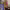 https://res.cloudinary.com/billionhands/image/upload/v1767624262/items/fhuj8z5wwyiewsqujqou.jpg-3cover