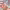 https://res.cloudinary.com/billionhands/image/upload/v1767624865/items/ssmtvojtkziaqivjsqie.jpg-3cover