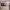 https://res.cloudinary.com/billionhands/image/upload/v1767625457/items/xxe38lgw9ihwf2ob0mfp.webp-3cover