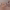 https://res.cloudinary.com/billionhands/image/upload/v1767625483/items/uedud3g36ctwh7v1bjlq.png-0cover