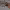 https://res.cloudinary.com/billionhands/image/upload/v1767625490/items/xjto2t0bjkbu8y4jbfia.png-2cover