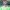 https://res.cloudinary.com/billionhands/image/upload/v1767684503/items/jymvjsbsp8uiqdmcfyrm.webp-2cover