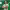 Vitor Roque to Real Betis cover