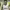 https://res.cloudinary.com/billionhands/image/upload/v1767770927/items/jmvsq8koyxa6axn3covh.jpg-1cover