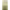 https://res.cloudinary.com/billionhands/image/upload/v1767803153/items/yqy0r978cduvxqfsuj1n.png-3cover