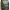 Lenda Nature Senior/Mobility Light cover