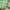 https://res.cloudinary.com/billionhands/image/upload/v1767803987/items/kqz81avceszjs5lotqwh.jpg-0cover