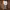 https://res.cloudinary.com/billionhands/image/upload/v1767804651/items/jygvvkxfi4ricplqctv5.jpg-2cover