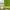 https://res.cloudinary.com/billionhands/image/upload/v1767804660/items/wgwd8lzvtbc5786fysqf.jpg-2cover