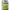 https://res.cloudinary.com/billionhands/image/upload/v1767804683/items/lkf6tgp3neth2ouusrhv.png-2cover