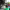 https://res.cloudinary.com/billionhands/image/upload/v1767857279/items/ygxz4mrbouxqxubal0nx.jpg-3cover