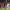https://res.cloudinary.com/billionhands/image/upload/v1767857349/items/s9owbmwfpldmkortv2rf.jpg-1cover