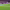 Gol de Aritz Aduriz al FC Barcelona (2015) cover