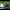https://res.cloudinary.com/billionhands/image/upload/v1767857392/items/vhltwgoqthmilegngouj.jpg-1cover