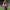 https://res.cloudinary.com/billionhands/image/upload/v1767857397/items/pdwy1ti0xizdu20hjwpd.jpg-0cover