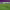 Gol de Iñaki Williams al FC Barcelona (2021) cover
