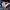https://res.cloudinary.com/billionhands/image/upload/v1767857402/items/o0lyin3mpte1d2trdhkg.jpg-0cover