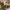 https://res.cloudinary.com/billionhands/image/upload/v1767873961/items/bjmcxzpmnkjybvdqs3tr.jpg-3cover