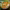 https://res.cloudinary.com/billionhands/image/upload/v1767873962/items/ty0zdupgqoottl7qytpn.jpg-3cover
