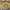 https://res.cloudinary.com/billionhands/image/upload/v1767873967/items/fpsnom6lydovnxjnlzpi.avif-2cover