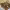 https://res.cloudinary.com/billionhands/image/upload/v1767878124/items/pxcq6nsn2aarr71g7aid.jpg-2cover