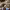 https://res.cloudinary.com/billionhands/image/upload/v1767949098/items/w2zblqqlhginwkr0upog.jpg-0cover
