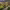 https://res.cloudinary.com/billionhands/image/upload/v1767953463/items/upvwyg4k81tq3hfdepd6.jpg-2cover